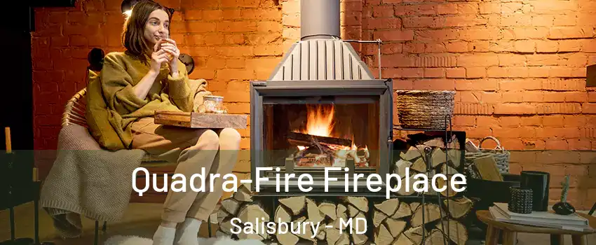  Quadra-Fire Fireplace Salisbury - MD