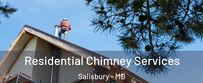  Residential Chimney Services Salisbury - MD