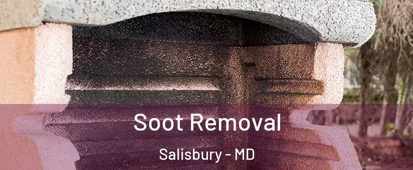  Soot Removal Salisbury - MD