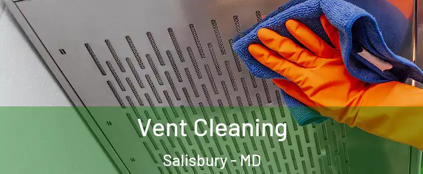  Vent Cleaning Salisbury - MD