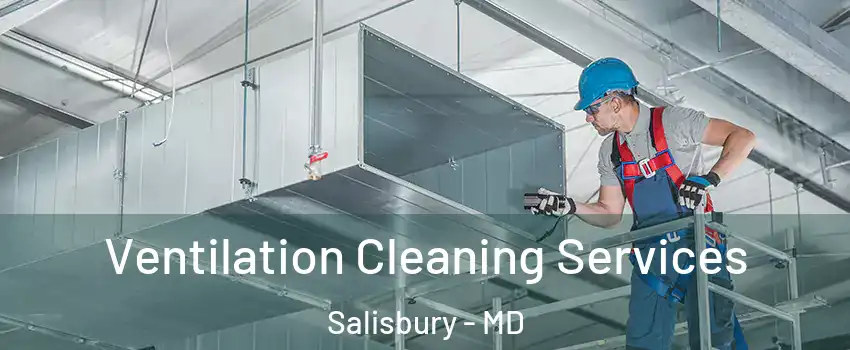  Ventilation Cleaning Services Salisbury - MD