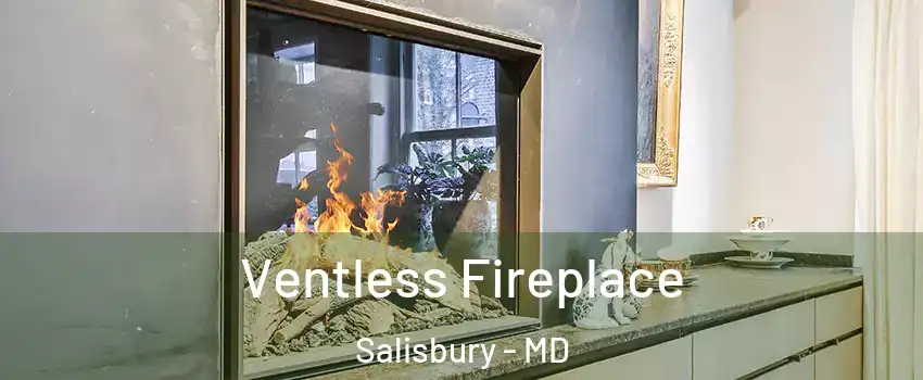  Ventless Fireplace Salisbury - MD