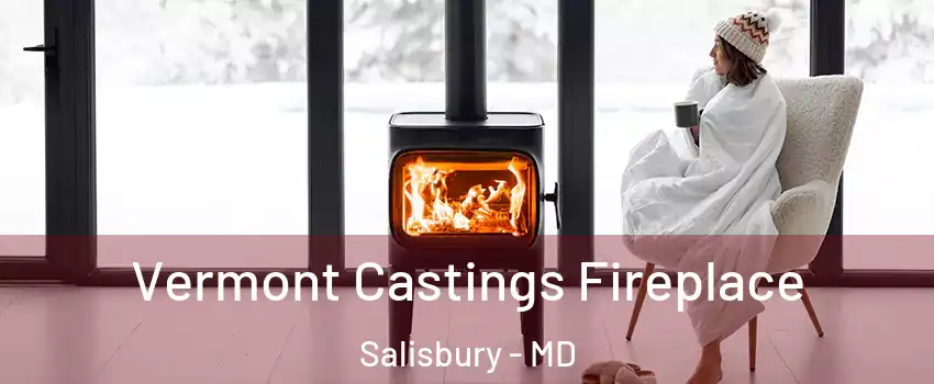  Vermont Castings Fireplace Salisbury - MD