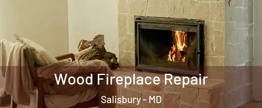  Wood Fireplace Repair Salisbury - MD