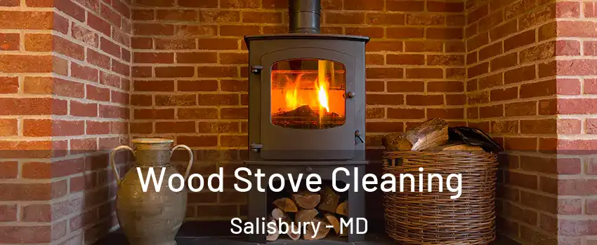  Wood Stove Cleaning Salisbury - MD