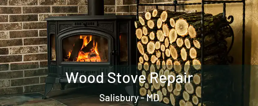  Wood Stove Repair Salisbury - MD